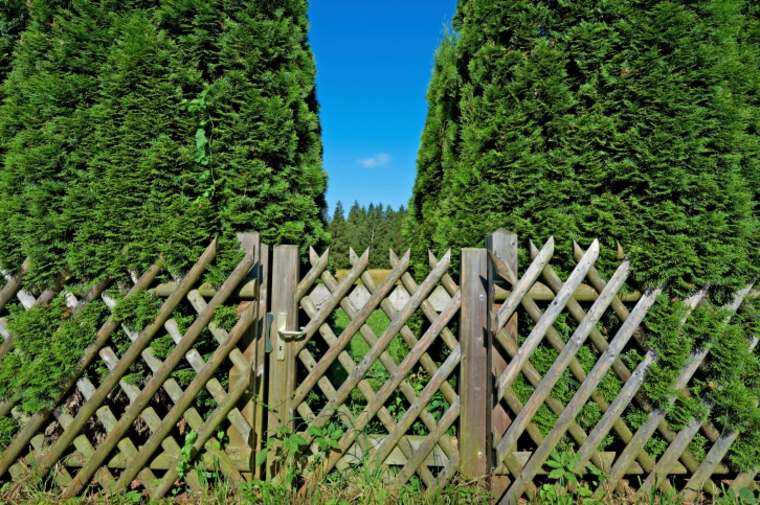 garden fence wood idea landscaping modern design