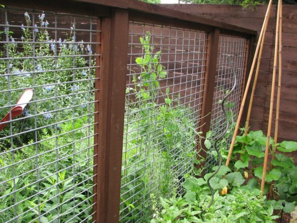 fences vegetable garden