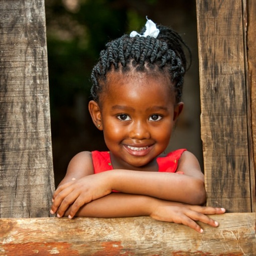 hairstyle girl african hair