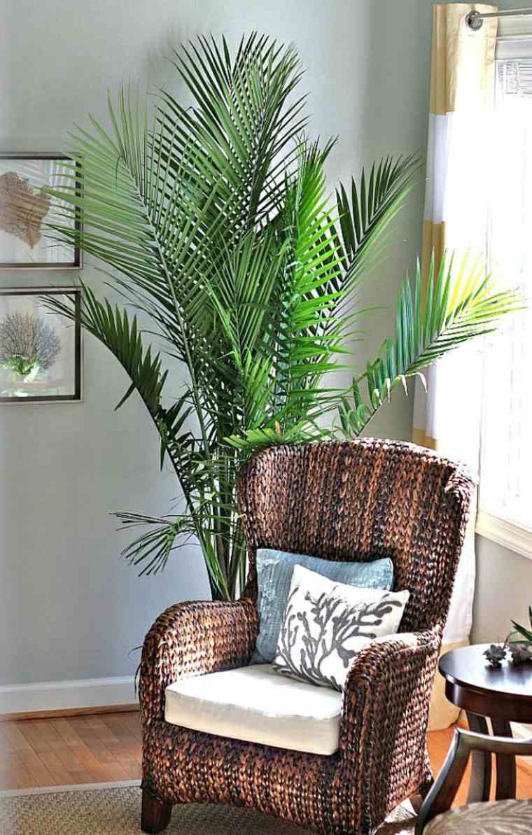 large plant reading corner