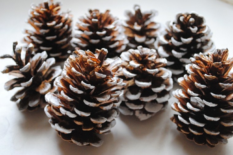 pewarnaan pinecone idea hiasan dalaman