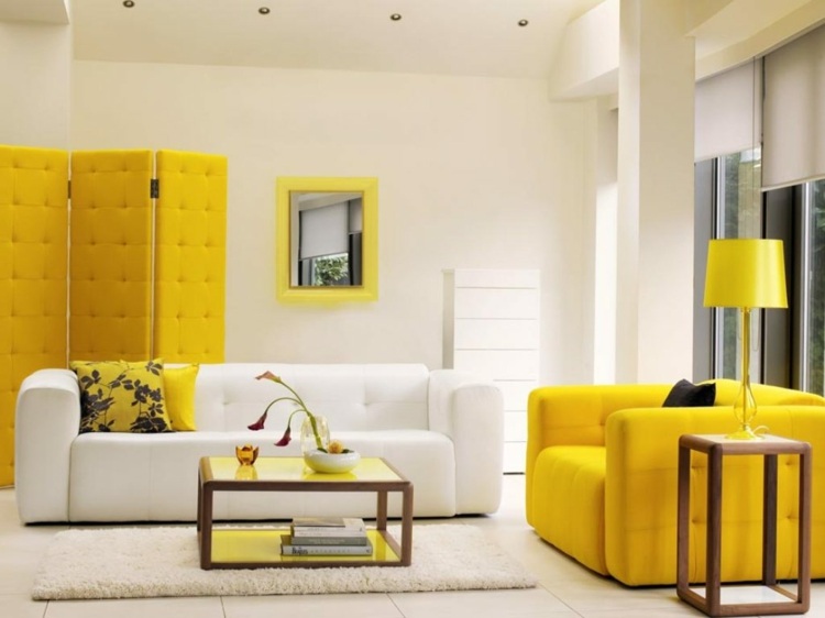 how to associate the colors living room