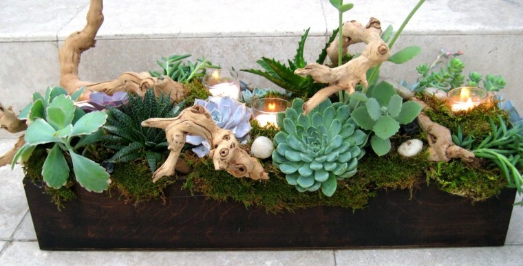 art deco blomster succulenter