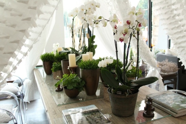 composition orchids white candles greenery