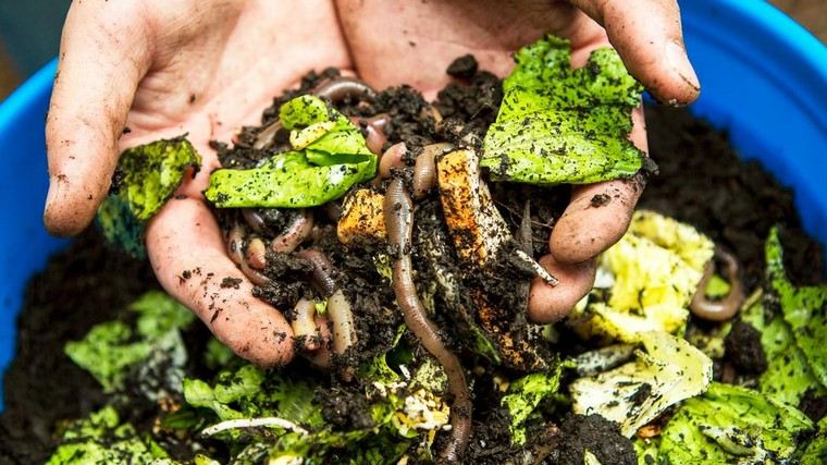 Compost-apartment-diy-ideas-inside