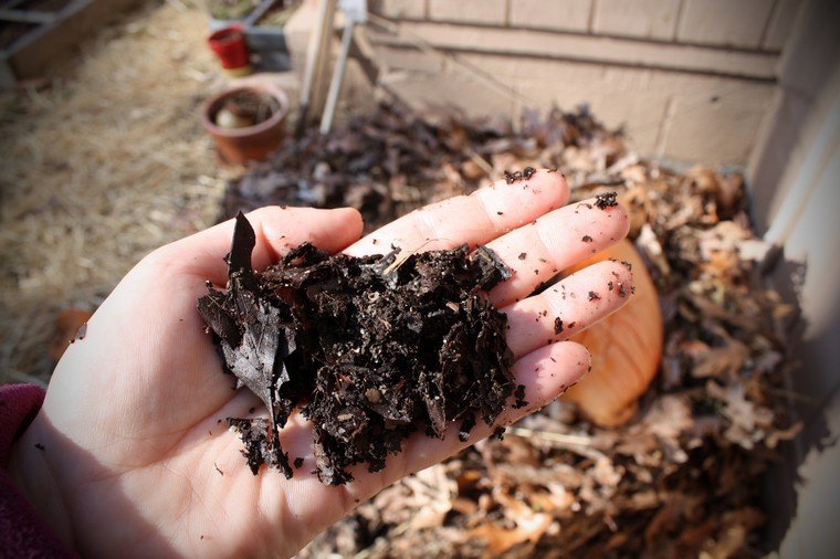 Compost-diy-ideas-apartment-interior