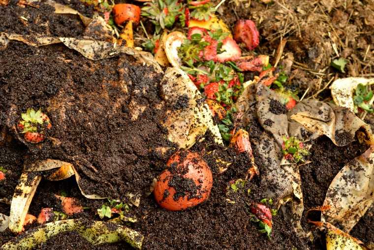 Kompost-idee-stanovanje-vermicomposting