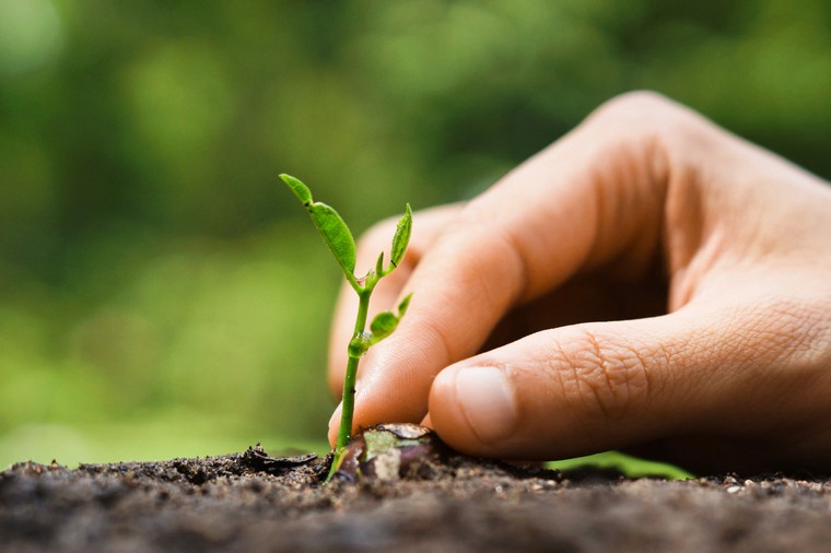 Kompostni-ideje-zunanji vrt-na-vermicomposting