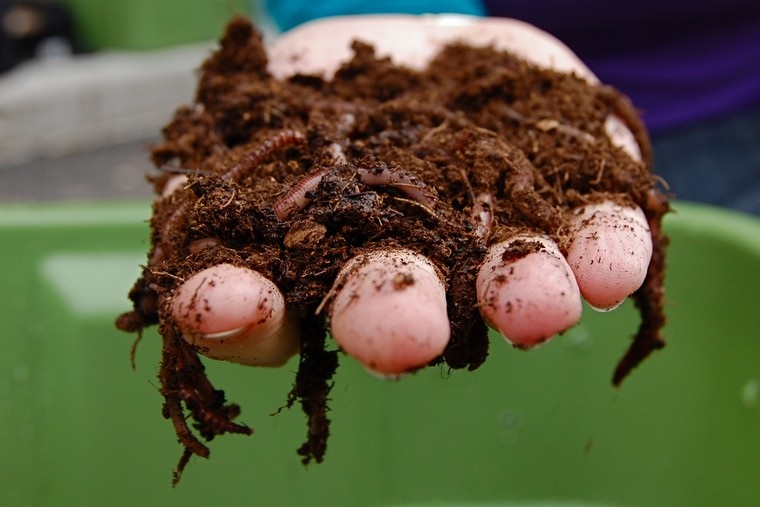 Composter stanovanje proti ilovici