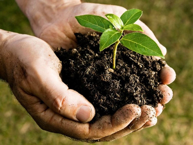 composter gør jord plante