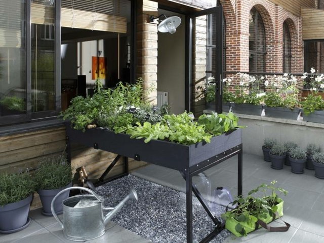 modern construction kitchen garden height terrace