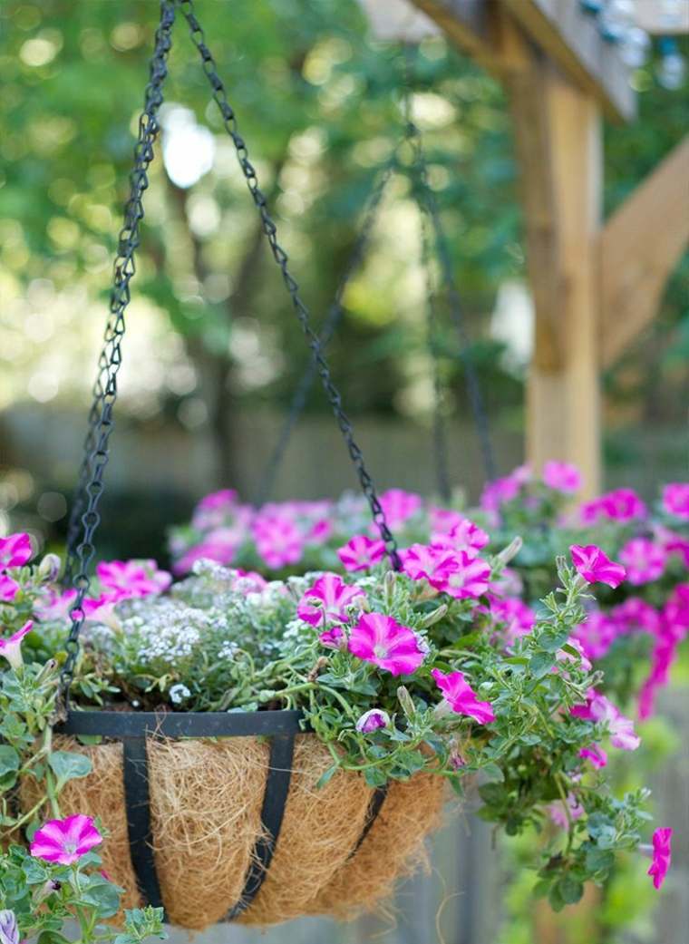 build-a-pergola outside-decoration-pot-de-flower-basket suspended