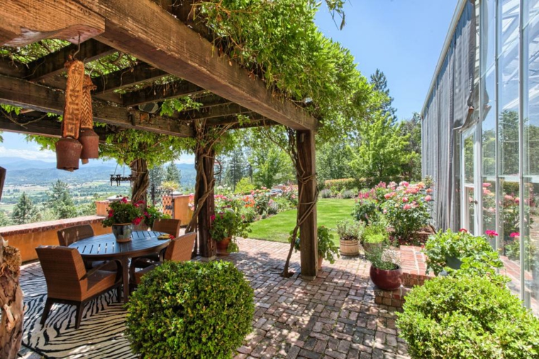 build-a pergola-plant-climbing-shaded terrace