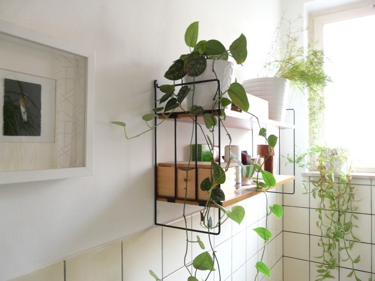 bathroom deco vegetable idea shelves interior tile