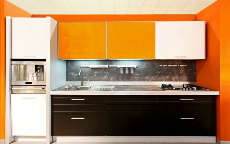 colors modern style kitchen