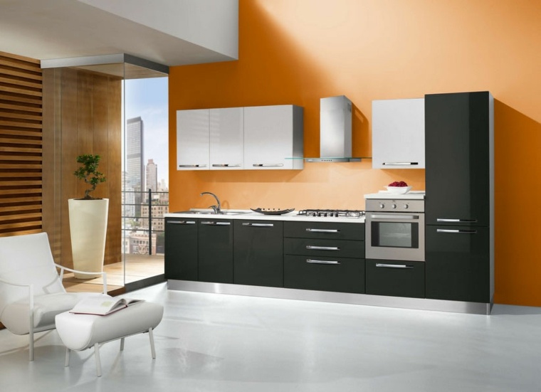 black kitchen wall color