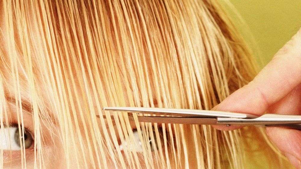cut hair hairstyle woman blonde