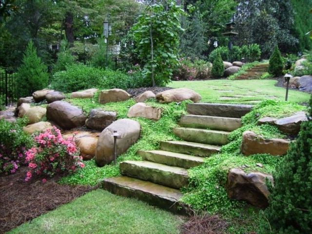 landscaped yard several levels