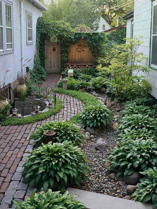 inner courtyard with shrubs