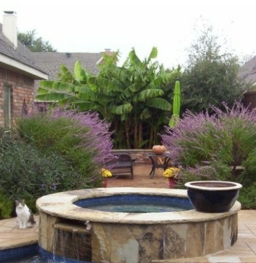 courtyard garden jacuzzi garden round banana