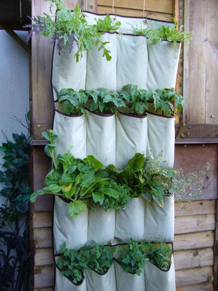 kitchen garden idea vertical garden