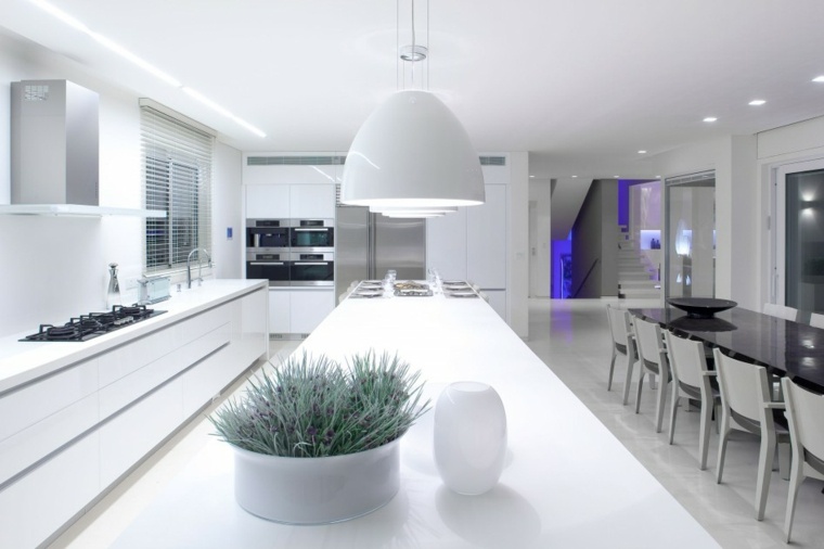 kitchen decoration idea ilots modern design