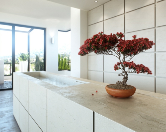 white kitchen bonsai plant