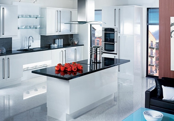 contemporary kitchen black white