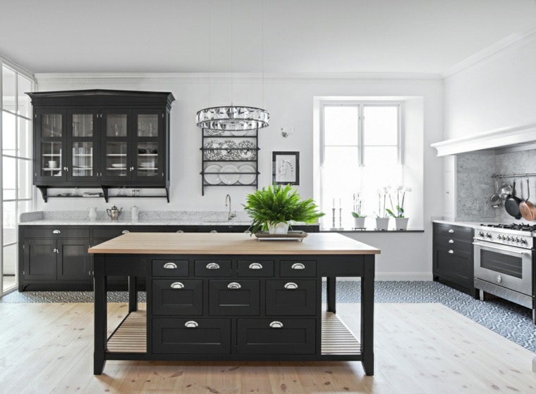 black kitchen central island plant idea wood flooring furniture