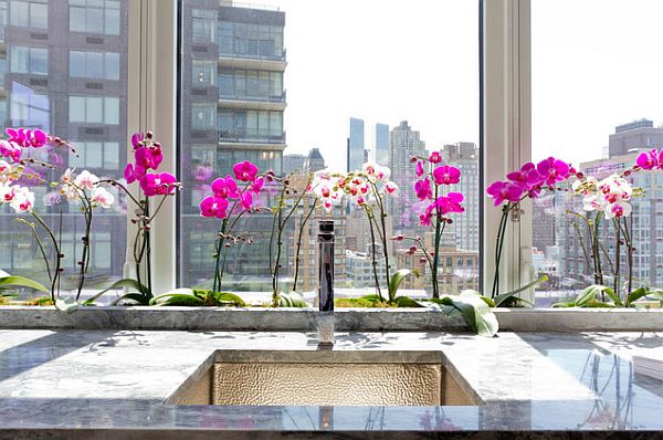 kitchen decoration window orchids purple white