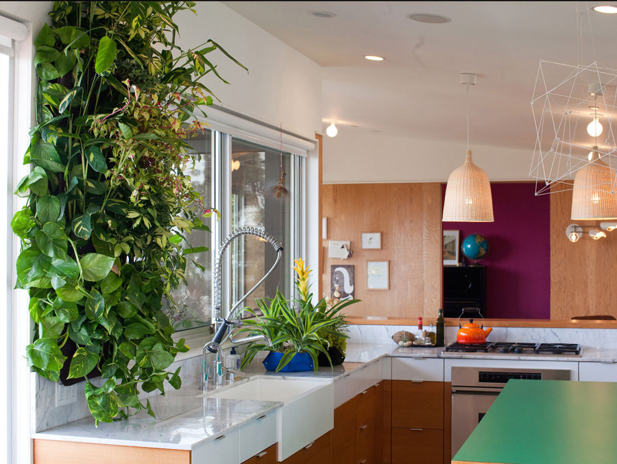 vertical garden interior cusine idea plant fixture suspension