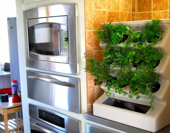 vertical garden kitchen