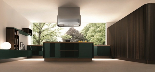 dark green lacquered kitchen