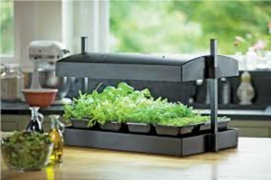 mini garden kitchen