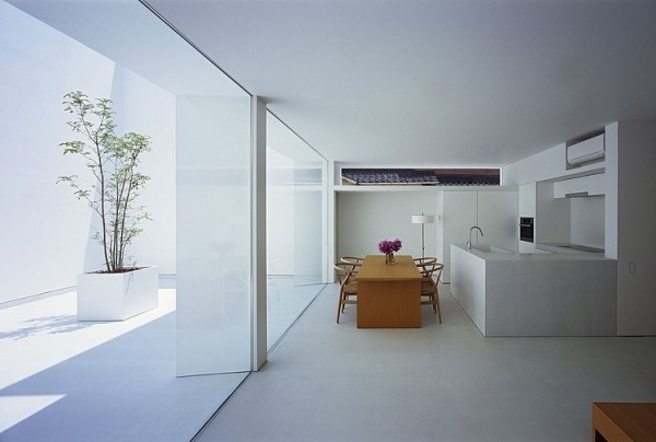 minimalist kitchen white tree