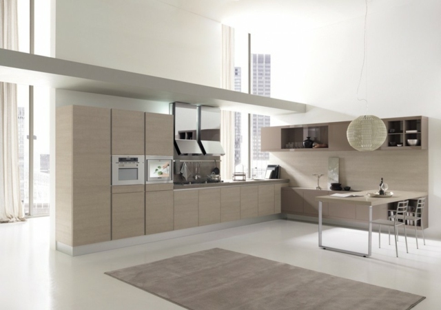 contemporary modern kitchen