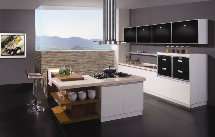 black and white kitchen design