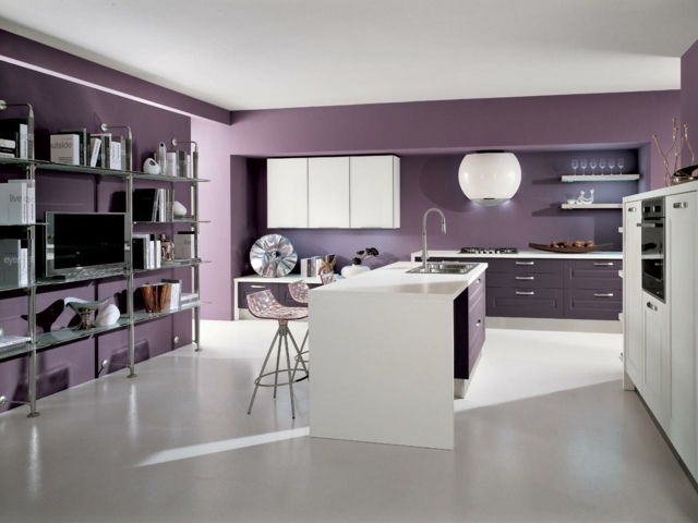 equipped kitchens purple deco