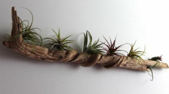 deco driftwood planter