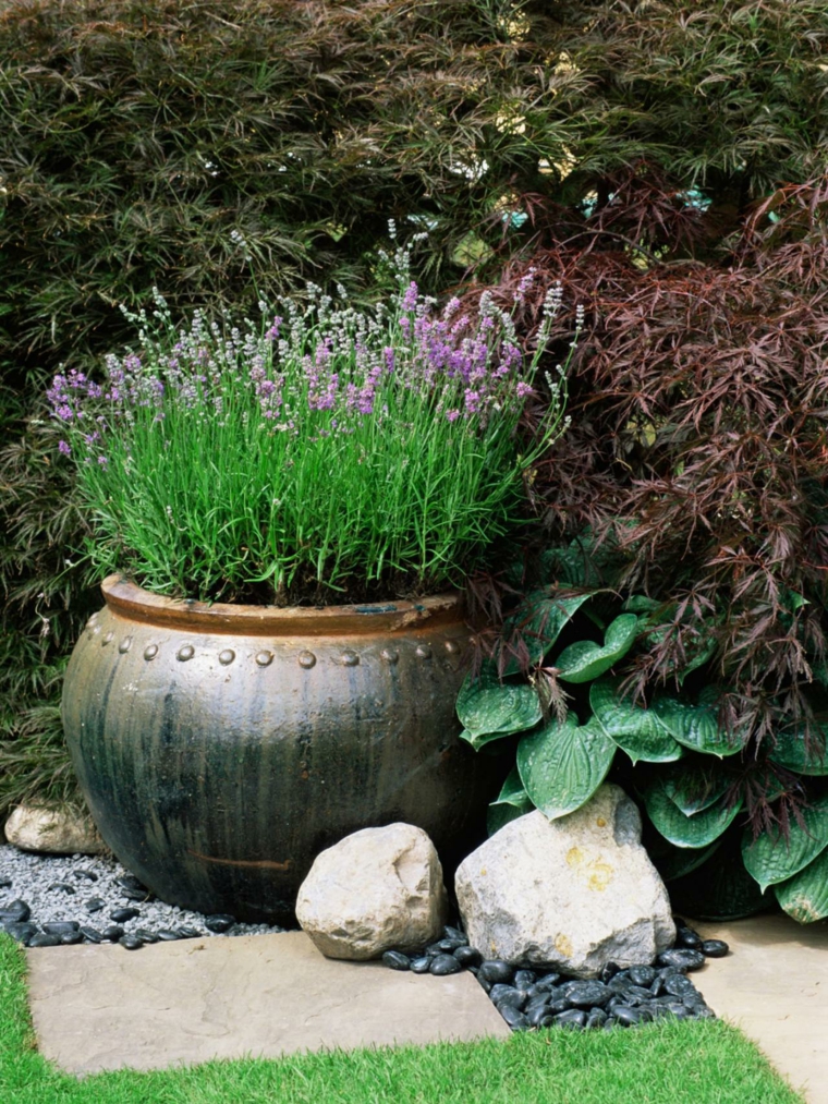 lavender garden decoration in pot