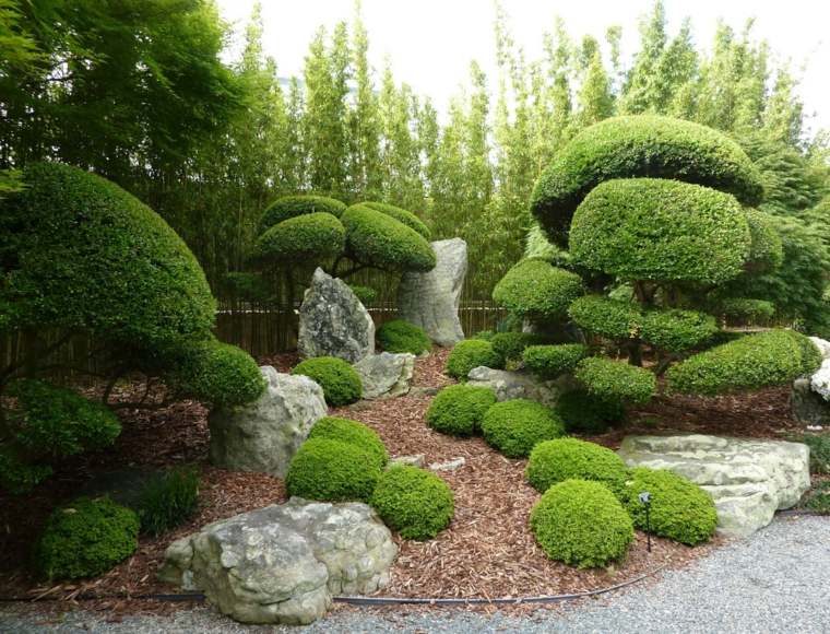 zen garden decoration miniature trees