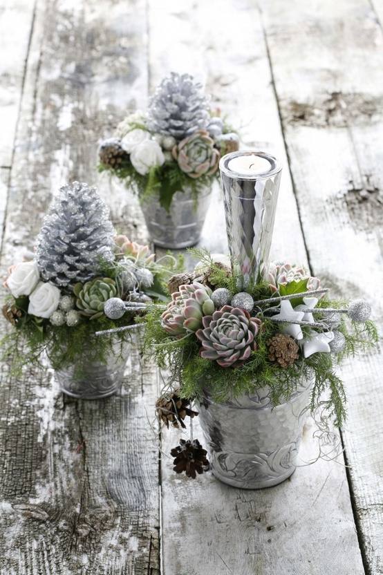 Decoration-Christmas-original-succulent plants