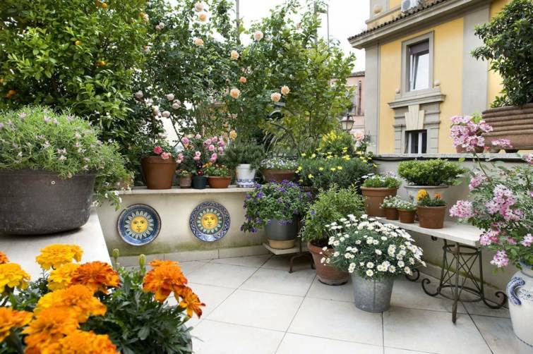 decoration balcony flowers plants