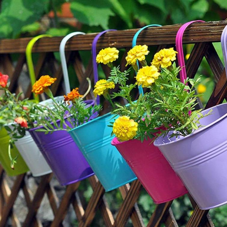 decoration balcony pots plants