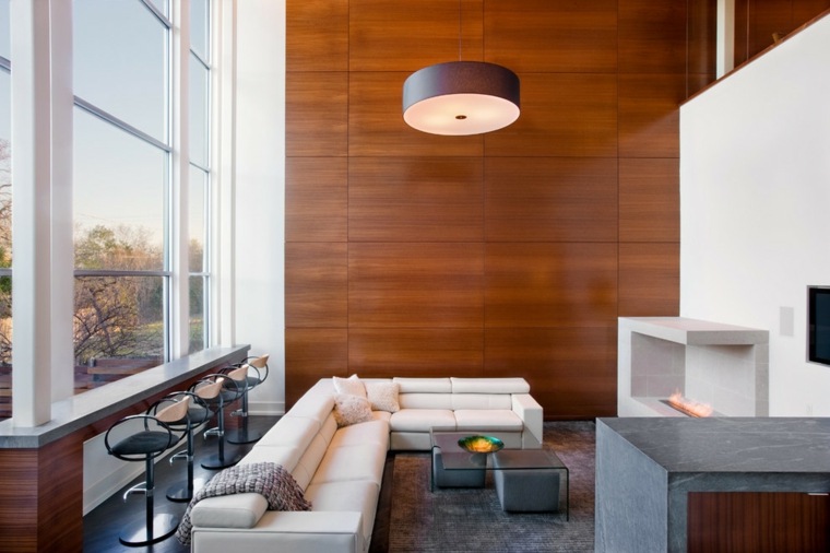 interior decoration living room paneling