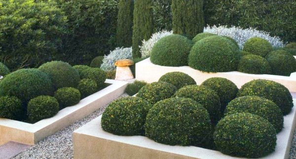 outdoor garden decoration cut shrubs