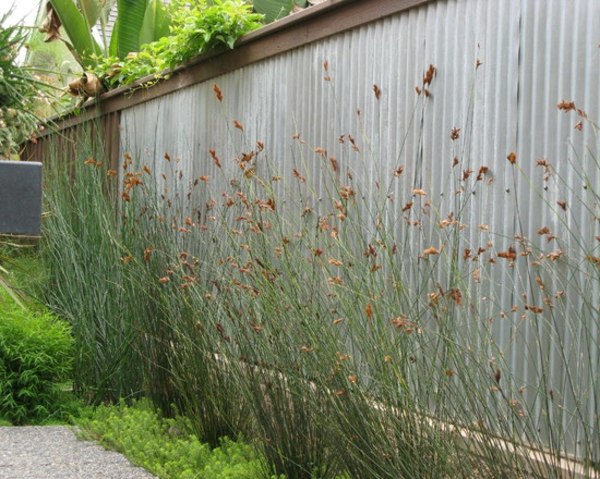 vertical wood slabs partition garden