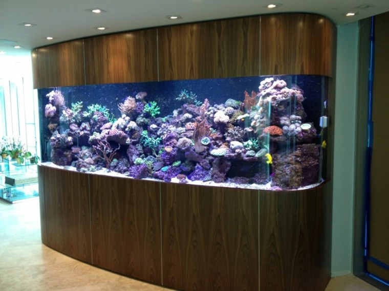 large aquarium built into the wall