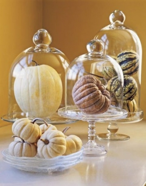 autumn pumpkins deco