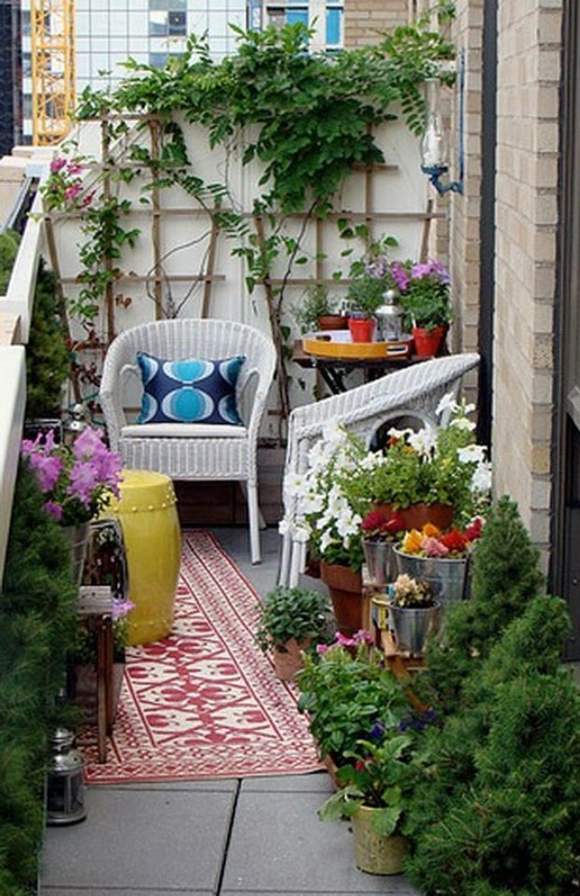 deco balcony plants